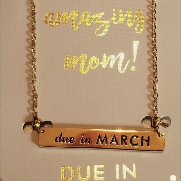 Due in March Engraved Stainless Steel Necklace - Picture 2 of 6